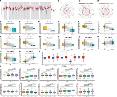 A comprehensive role evaluation and mechanism exploration of POGLUT2 in pan-cancer